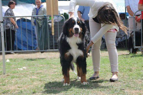 Just in love De la truffe en quercy